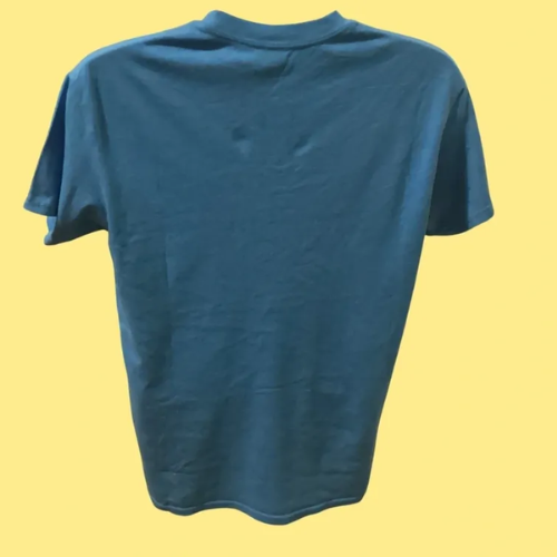 Light Blue embroidered shirt
